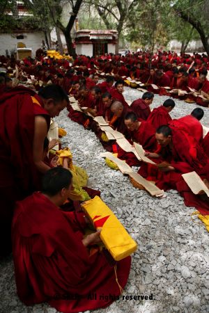 Monks at Sera Monastery